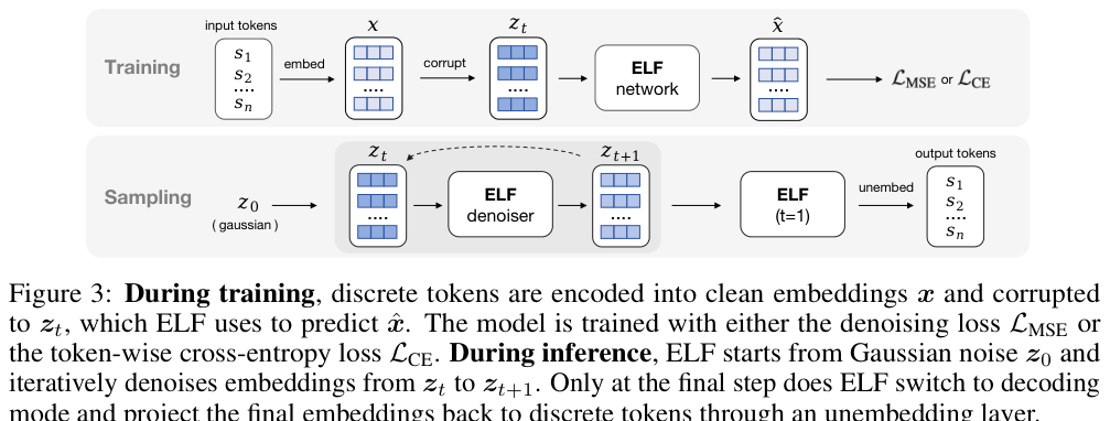 ELF 训练(左)和推理(右)流程示意