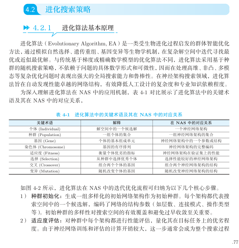 进化算法关键术语及其在 NAS 中的对应关系