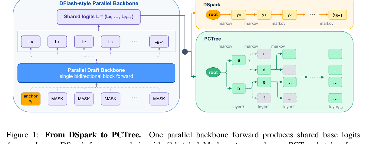 PCTree 与 DSpark 的草稿结构对比